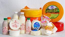 Сири та молочні продукти